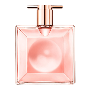 dior 10 image aromafulfill